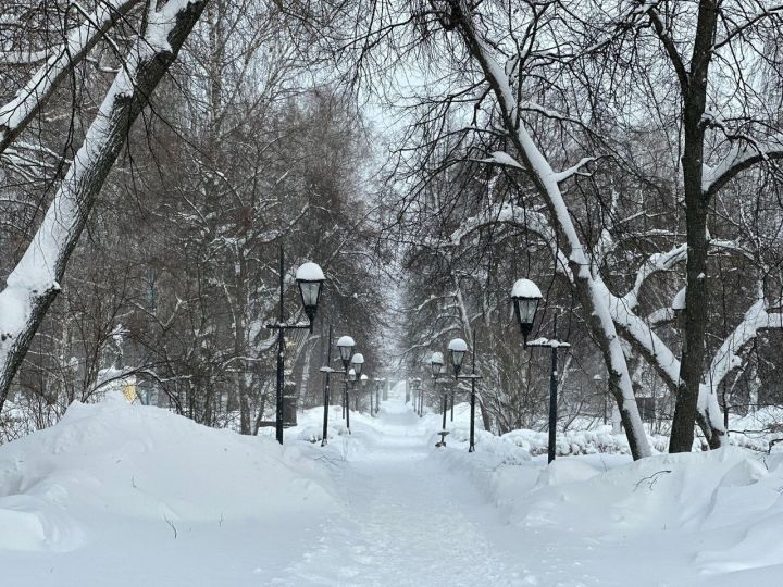 Прогноз погоды на 18 января для лениногорцев