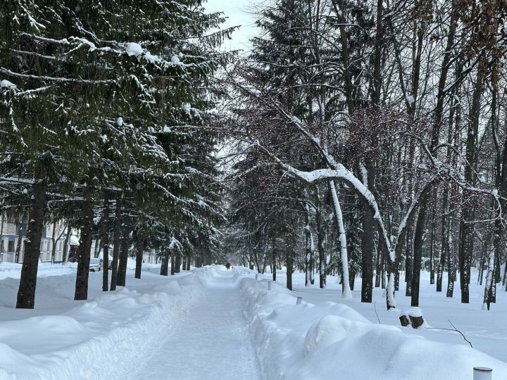 Прогноз погоды на 26 января для лениногорцев