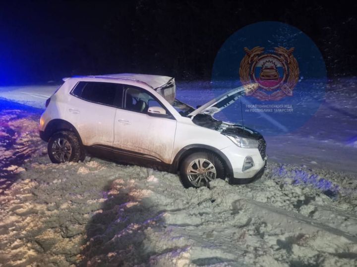 В Елабужском районе произошло смертельное ДТП