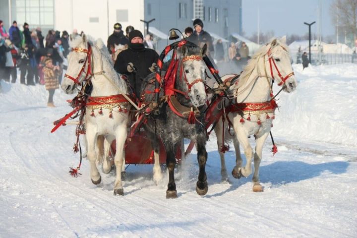 Фермер из Лениногорска организовал фестиваль