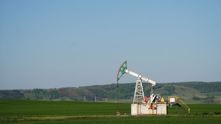 Компания «Татнефть» стал лидером в России по зарегистрированным климатическим проектам