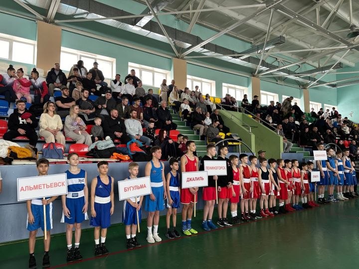 В Лениногорске проходит второй турнир по боксу памяти Дамира Исламова