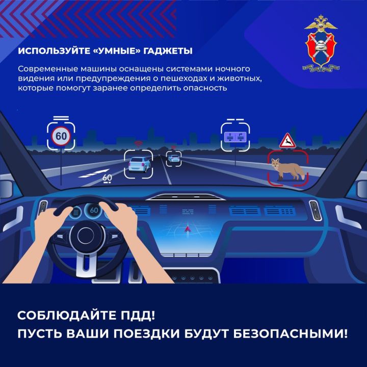 Как избежать столкновения с дикими животными на загородных трассах?