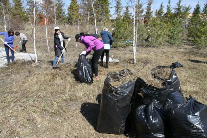 Даты проведения санитарно-экологического двухмесячника утверждены в Татарстане