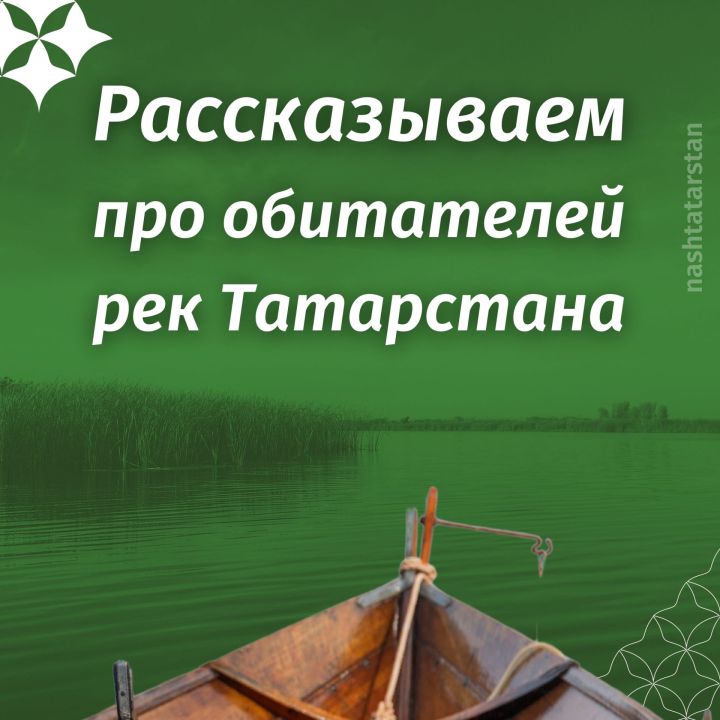 Кто живет в реках Татарстана?
