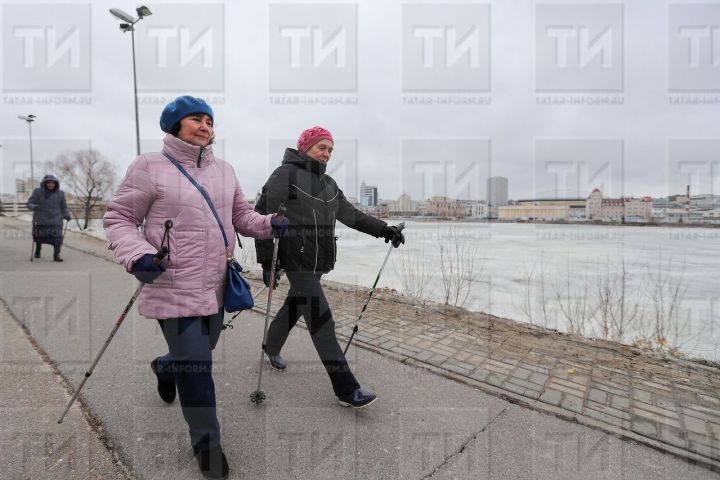 В Татарстане хотят увеличить число вовлеченных в активности пожилых до 479 тыс. человек