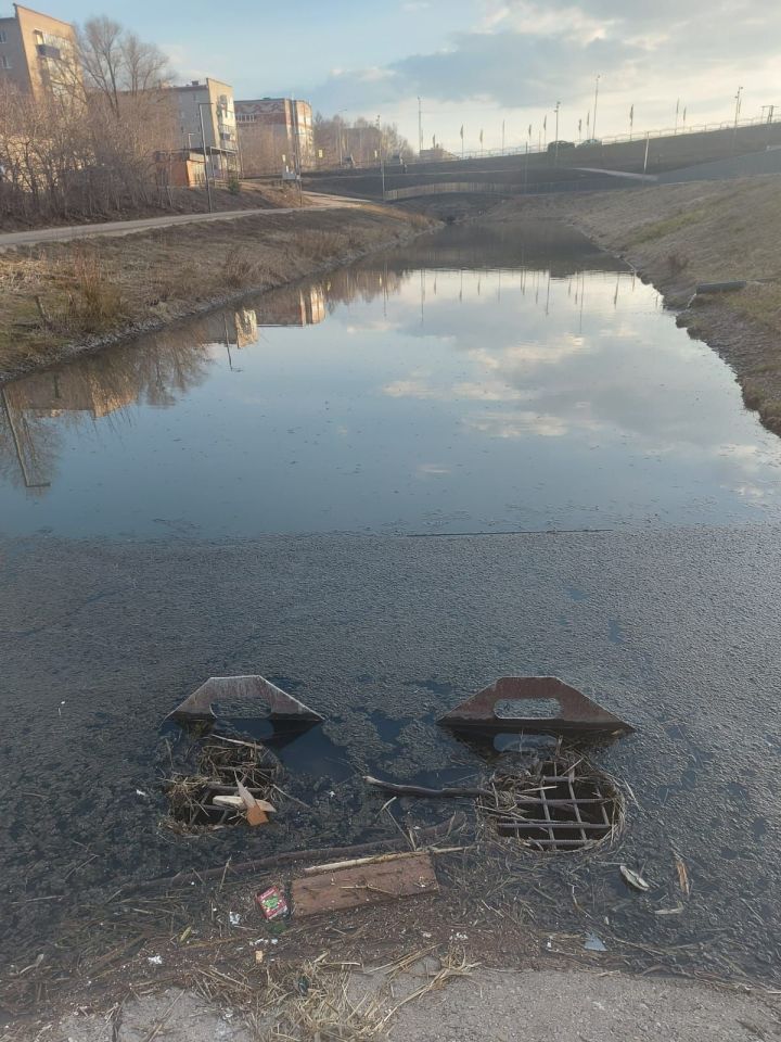 В Лениногорске жители переживают за утят, которые массово погибают, падая сквозь решётку в водосток