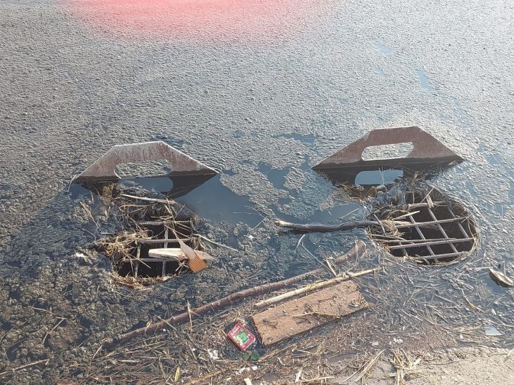 В Лениногорске жители переживают за утят, которые массово погибают, падая сквозь решётку в водосток