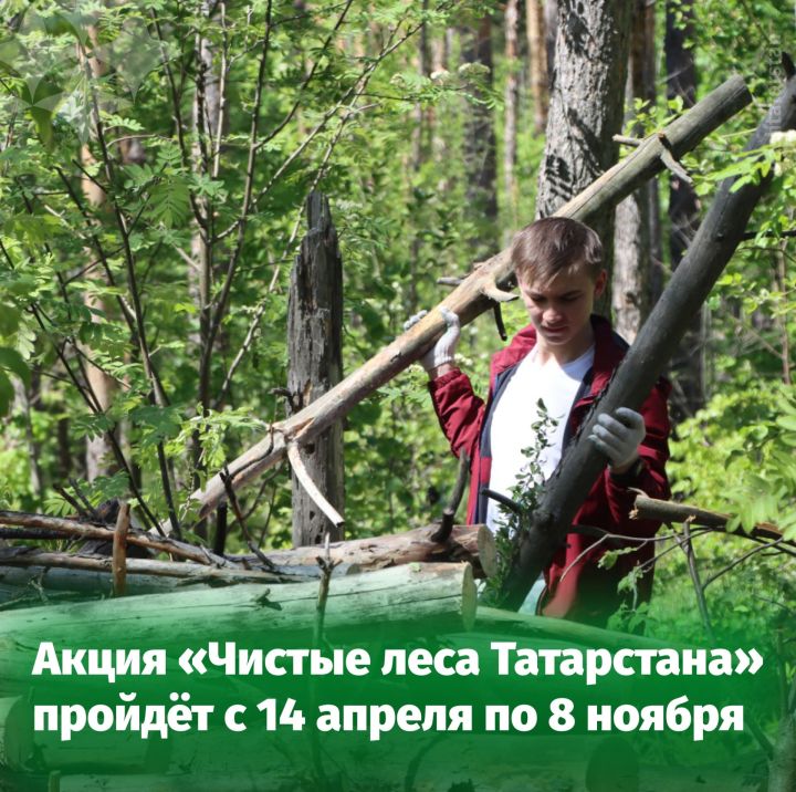 В Татарстане началась масштабная природоохранная акция «Чистые леса Татарстана»