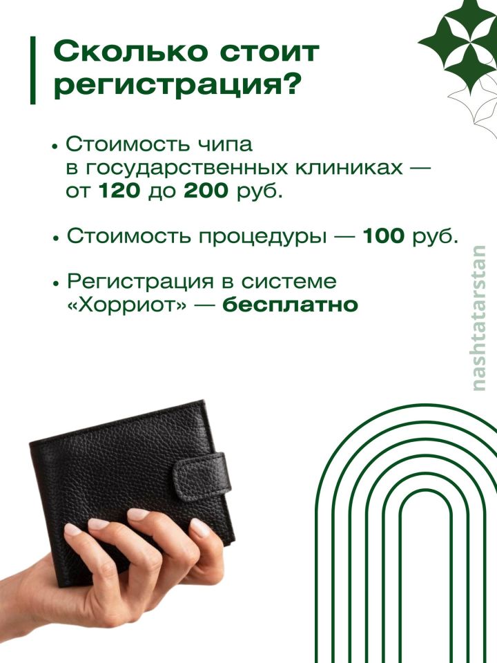 За домашнюю собаку без регистрации можно будет получить штраф