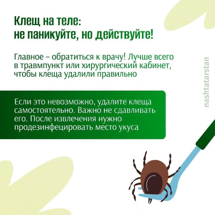 Как защитить себя от клещей?