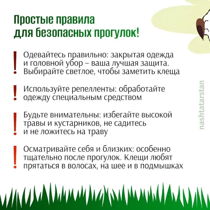 Как защитить себя от клещей?