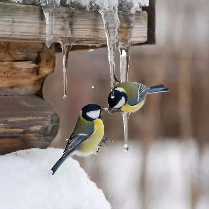 Когда придёт тепло в Лениногорск?