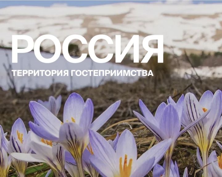 Автопутешествия по России: свобода, комфорт и яркие открытия