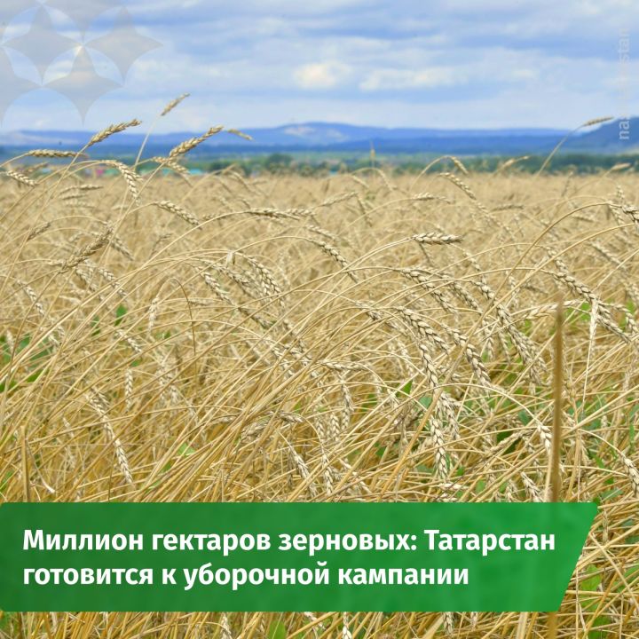 Татарстан готовится к уборочной кампании