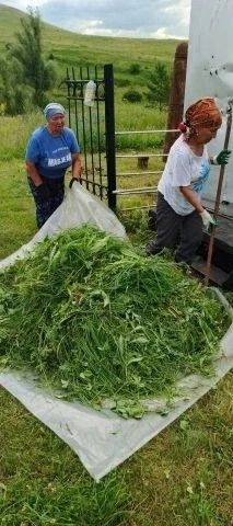 В Лениногорском районе на местных кладбищах сельчане провели субботник