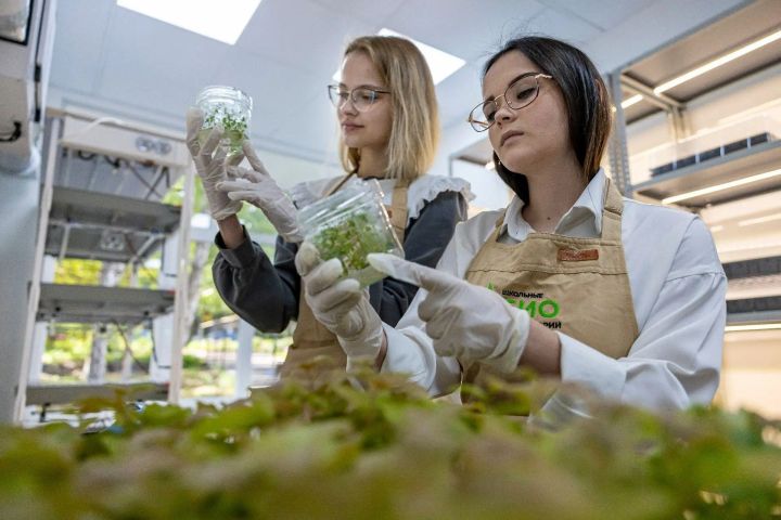 Компания «Татнефть» перезагрузила экосистему обучения в одной из школ Лениногорска