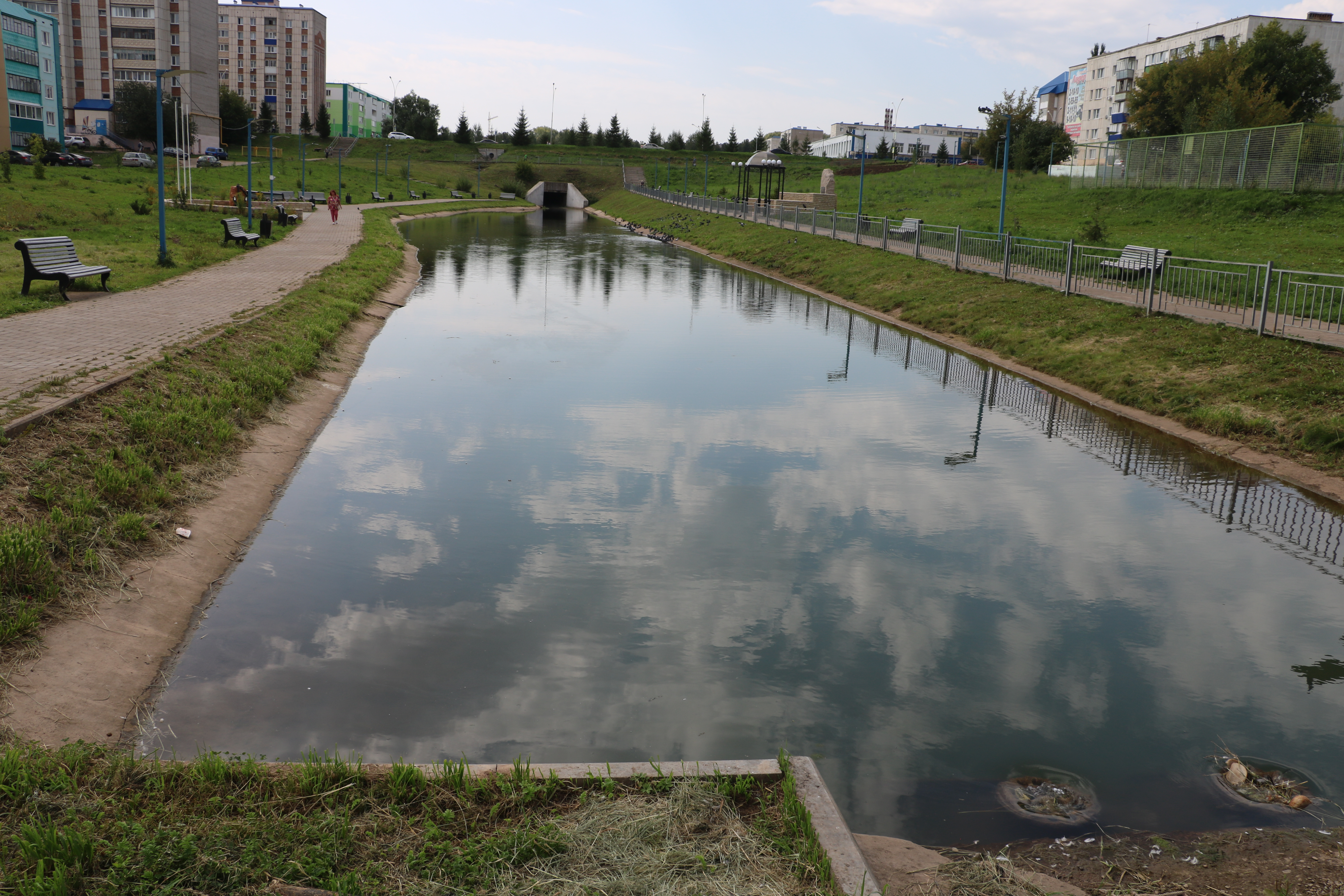 Парк запруды. Парк запруды Коломна. Пруд и запруда. Мелеющий пруд. Реки в Лениногорске.