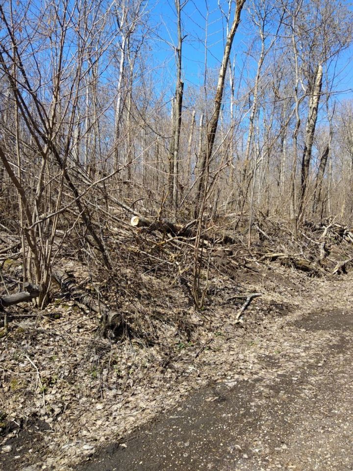 Круговорот жизни в природе и в Лениногорске