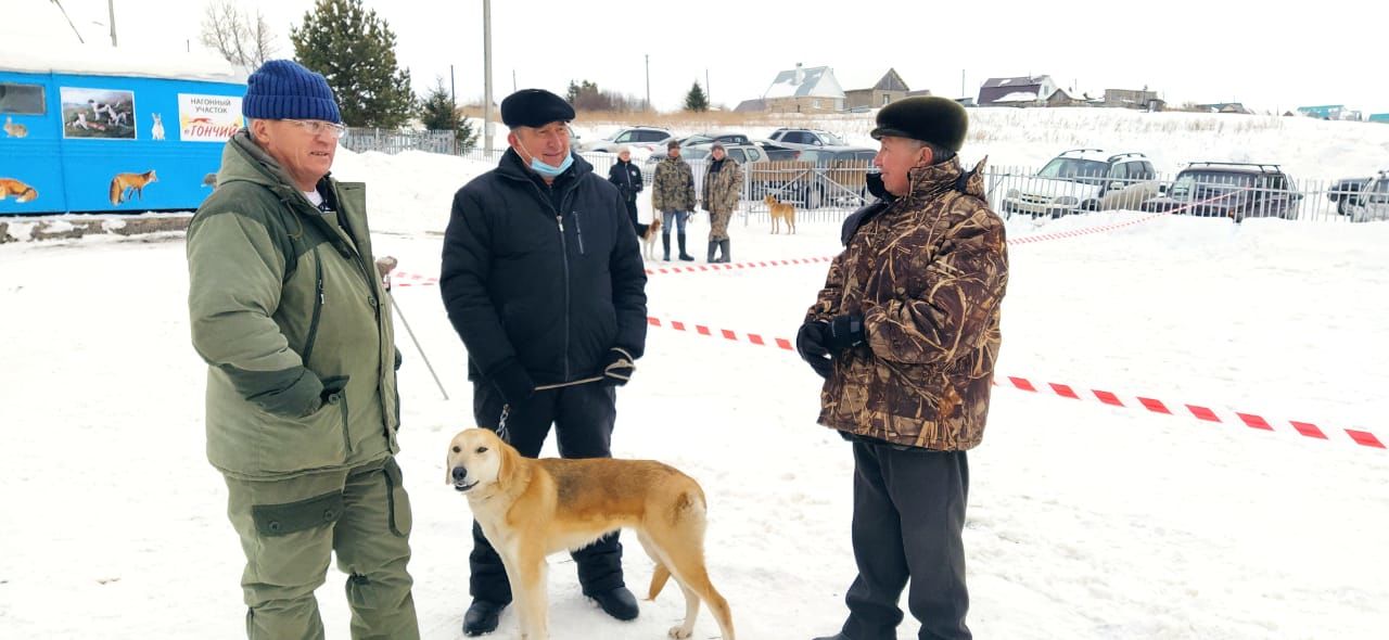 Выставка собак охотничьих пород проведена в Лениногорском районе