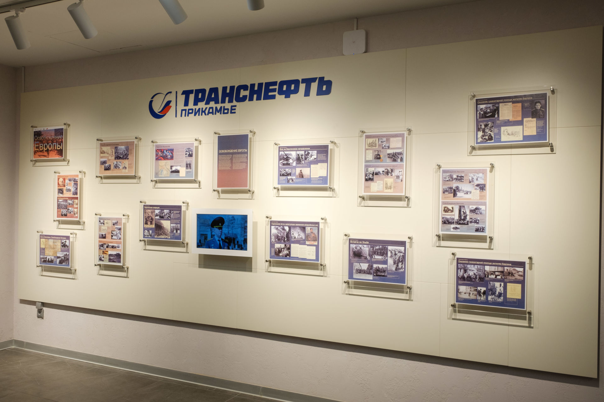 Международного проекта территория победы