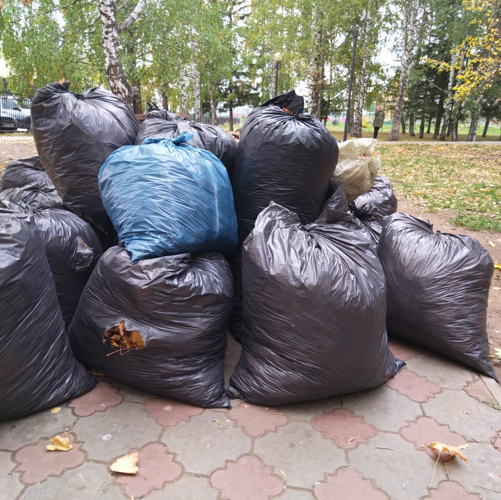 Волонтёры и школьники Лениногорска провели экологическую акцию на территории скейт-парка