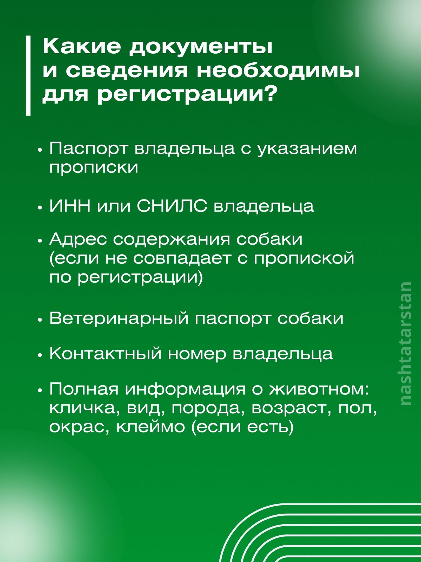 За домашнюю собаку без регистрации можно будет получить штраф