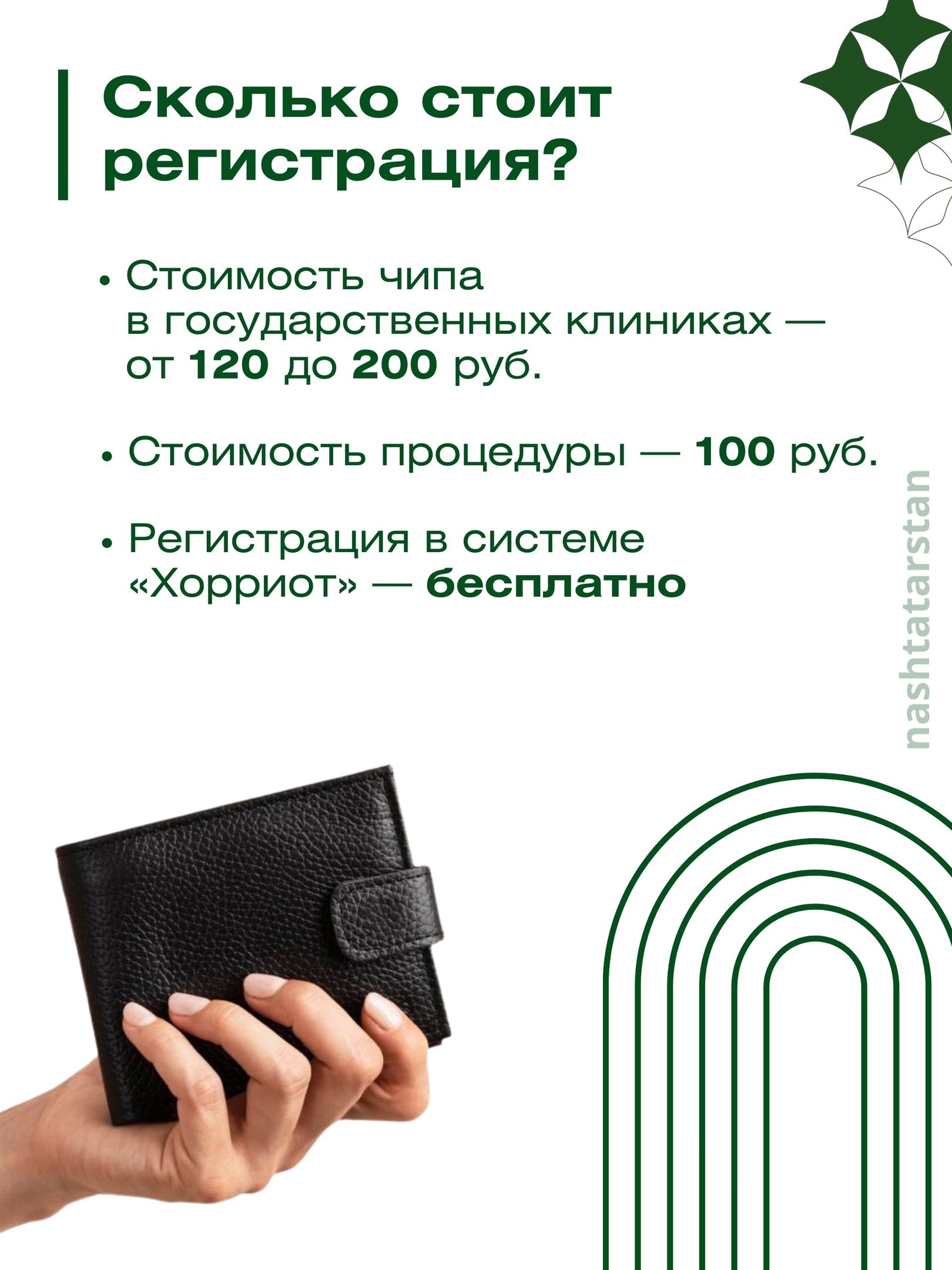 За домашнюю собаку без регистрации можно будет получить штраф
