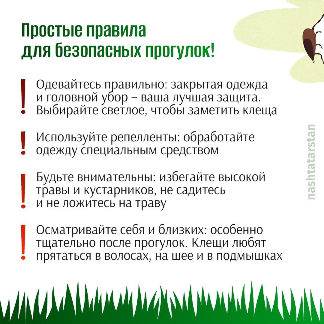 Как защитить себя от клещей?
