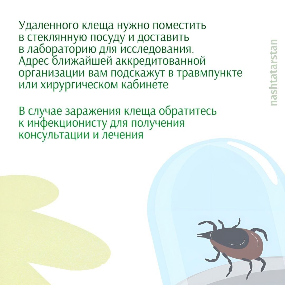 Как защитить себя от клещей?