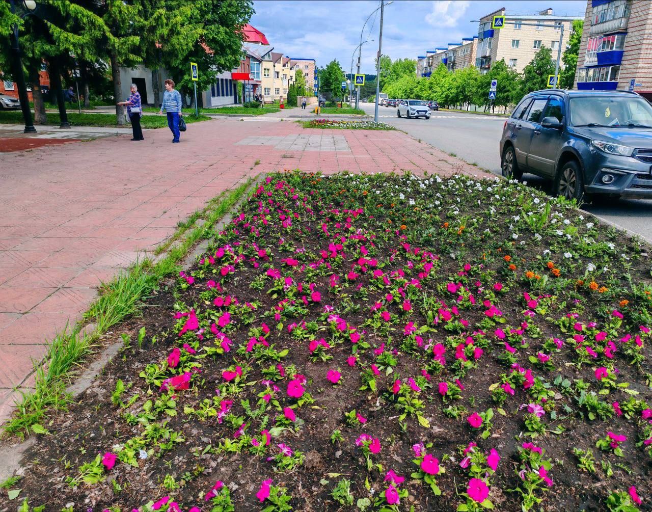 В Лениногорске проходит посадка цветов