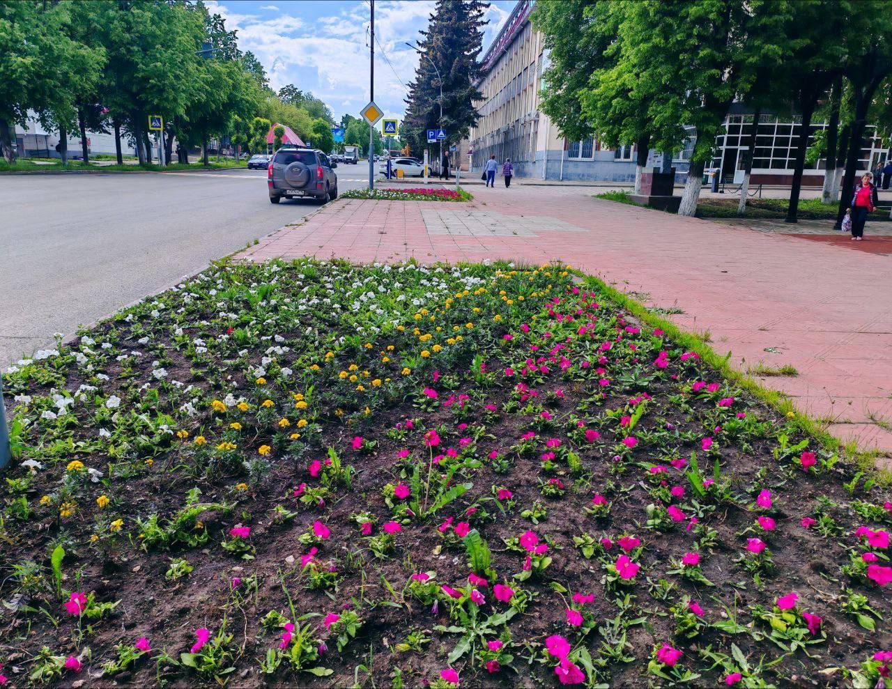 В Лениногорске проходит посадка цветов