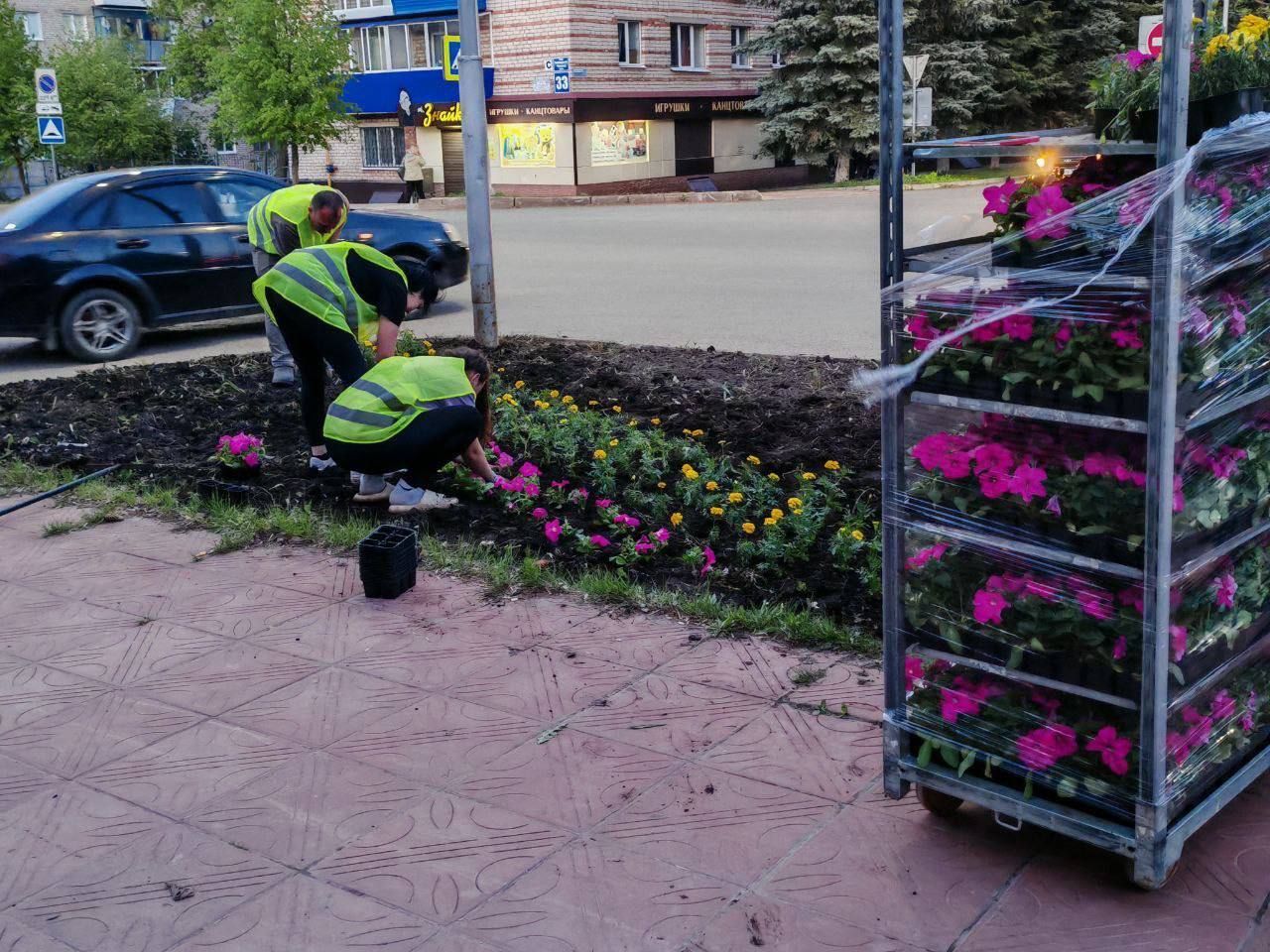 В Лениногорске проходит посадка цветов