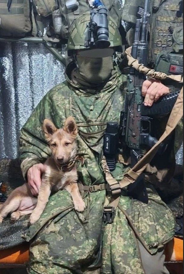 Ну, что, Боня, поехали домой?!