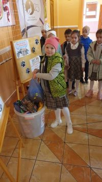 В школе № 5 Лениногорска прошла акция по сбору кормов для животных из приюта.