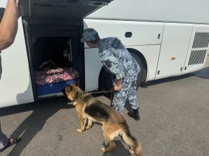 ГИБДД Лениногорска подвела итоги рейда по проверке автобусов и такси