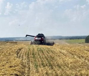 В Лениногорском районе на поля вышли 46 комбайнов