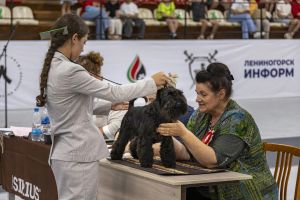 Лениногорск принял Национальную выставку собак всех пород ранга ЧЕМПИОН РКФ с особым статусом