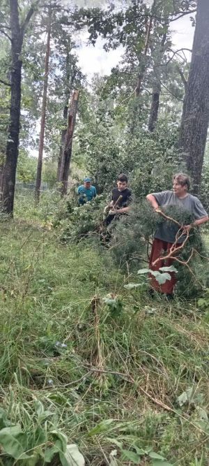 Жители деревни Аккуль Лениногорского района привели в порядок пострадавшее во время урагана кладбище