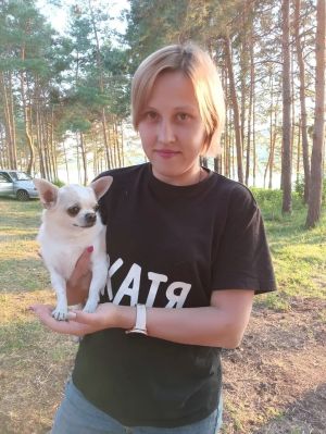 Сегодня в Лениногорске пройдет Всероссийская выставка собак