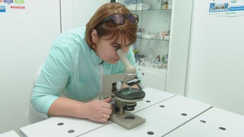 Комиссия по чрезвычайным ситуациям Лениногорска обсуждала риск вспышки бруцеллёза в районе