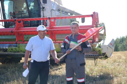 На лениногорских  полях идет  одновренно  и уборка зерновых, и осенний сев