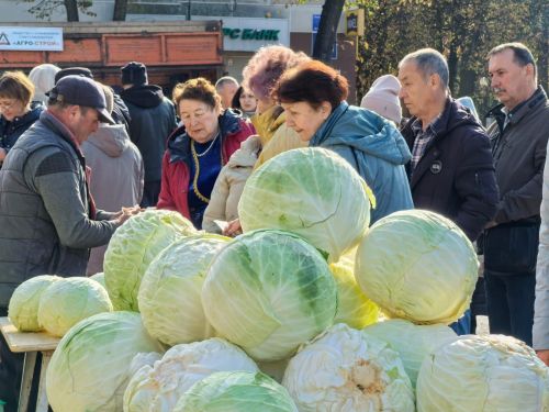 На ярмарке в Лениногорске приняли участие 38 предпринимателей