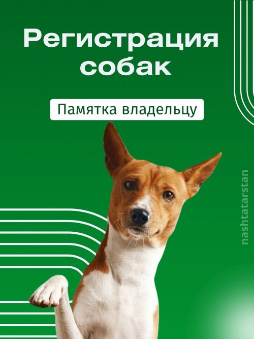 За домашнюю собаку без регистрации можно будет получить штраф