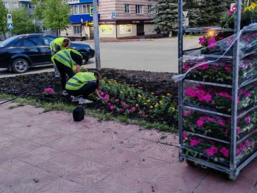 В Лениногорске проходит посадка цветов