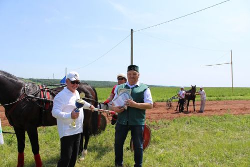 Конные скачки и аударыш стали эпицентром Сабантуя в Лениногорске