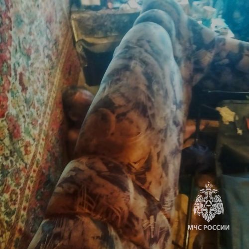 Житель Лениногорска не смог выбраться из дивана без помощи спасателей