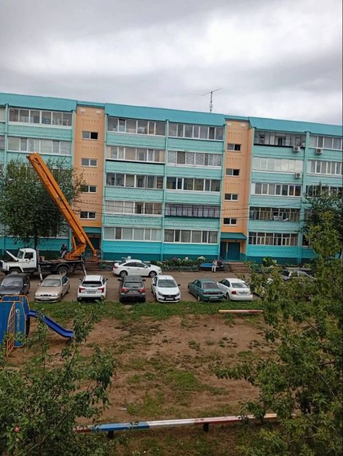 В Лениногорске замуровали заживо птиц при ремонтных работах