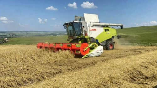 Лениногорские хлеборобы приступили к уборке урожая