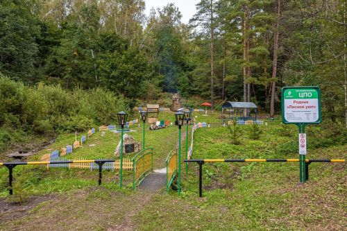Природный ключ «Лесной уют» Лениногорска участвует в конкурсе родников «Татнефти»